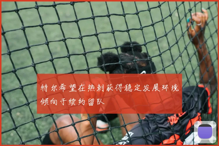 特尔希望在热刺获得稳定发展环境倾向于续约留队