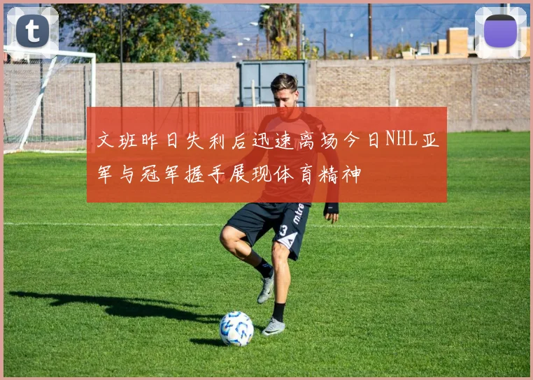 文班昨日失利后迅速离场今日NHL亚军与冠军握手展现体育精神